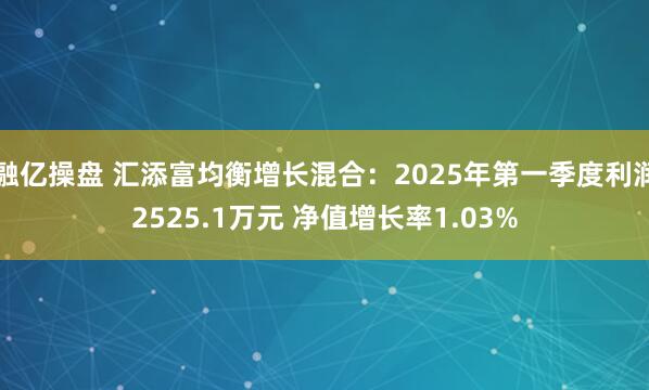融亿操盘 汇添富均衡增长混合：2025年第一季度利润2525.1万元 净值增长率1.03%