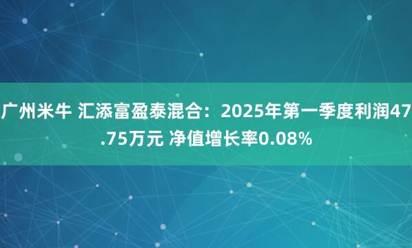 广州米牛 汇添富盈泰混合：2025年第一季度利润47.75万元 净值增长率0.08%