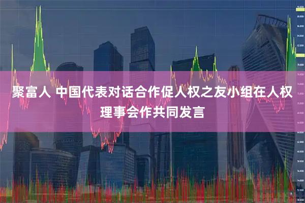 聚富人 中国代表对话合作促人权之友小组在人权理事会作共同发言