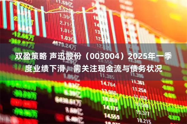 双盈策略 声迅股份（003004）2025年一季度业绩下滑，需关注现金流与债务状况