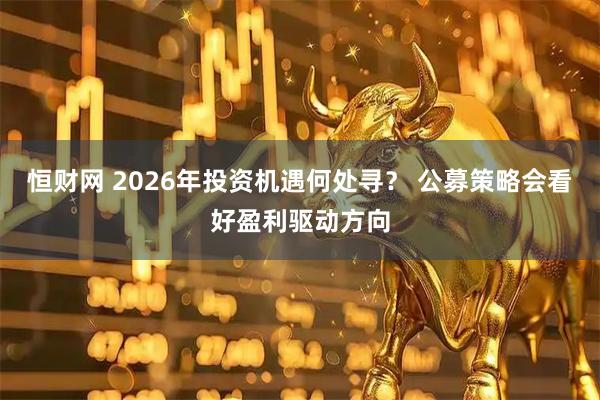 恒财网 2026年投资机遇何处寻? 公募策略会看好盈利驱动方向