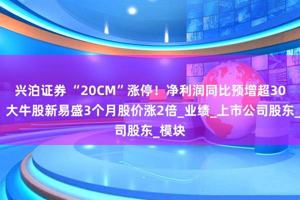 兴泊证券 “20CM”涨停！净利润同比预增超300%，大牛股新易盛3个月股价涨2倍_业绩_上市公司股东_模块